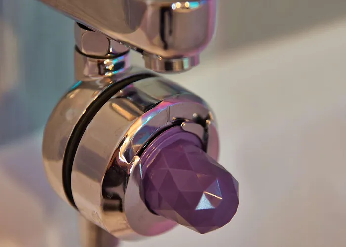 Aiden By Western & Clermont-Ferrand